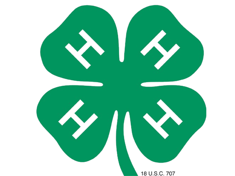 Logo for 2026 Mercer County Fair